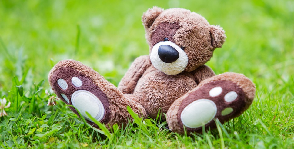Themenbild Adoption - ein Teddybär sitzt auf einer grünen Wiese